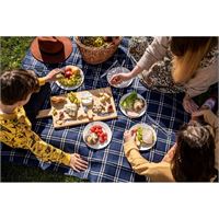 COPERTA PIC NIC